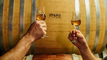 Gin e vermouth trentini