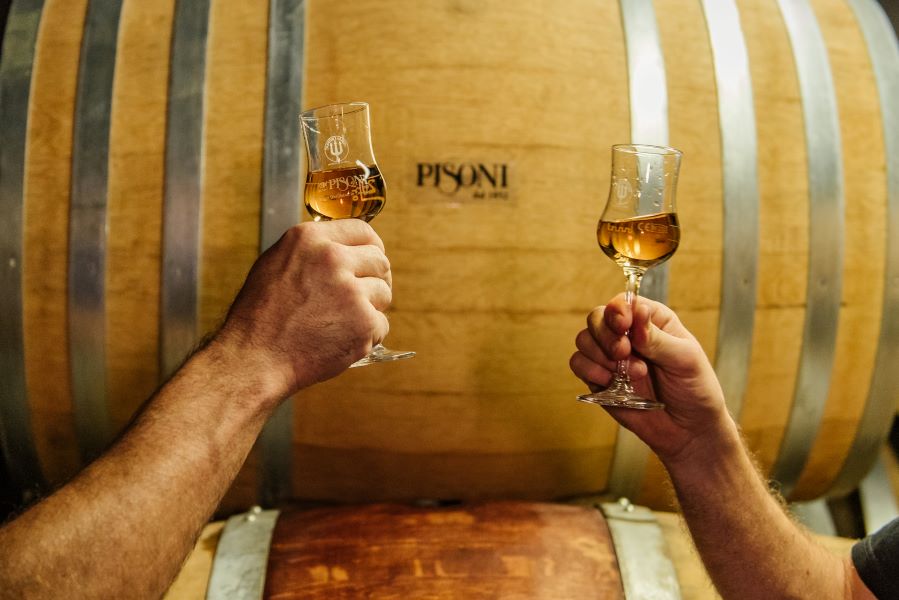 Gin e vermouth trentini: la tradizione Pisoni si rinnova tra distillati, radici locali e visioni future 1 Gin e vermouth trentini