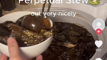 Stewtheus, la zuppa perpetua che impazza su tik tok