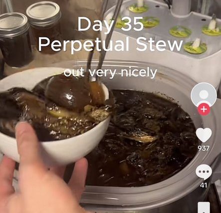 Stufato perpetuo: la storia virale di Stewtheus e l'antica tradizione della zuppa che non smette mai di cuocere 2 Stewtheus, la zuppa perpetua che impazza su tik tok