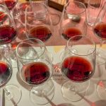 Vini della Valpolicella e Parmigiano Reggiano si incontrano a Milano: l'abbinamento vincente 12 degustazione vini della valpolicella e parmigiano reggiano