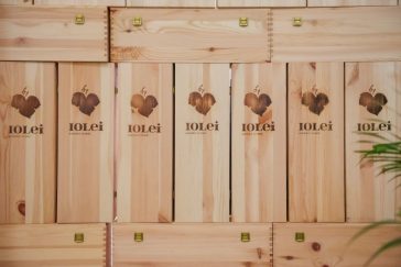 Iolei Winery e Nepente di Oliena: il Cannonau sardo tra storia, territorio e degustazione 7 Iolei Winery e Nepente di Oliena