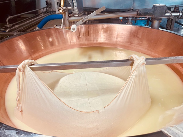 Come nasce il Parmigiano Reggiano: viaggio tra casaro, affinatore e battitore nel Caseificio Castelnovese 4 lavorazione parmigiano reggiano