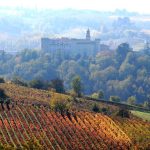Vini piemontesi tra tradizione, innovazione e protagoniste al femminile 14 Vini piemontesi