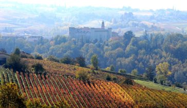 Vini piemontesi tra tradizione, innovazione e protagoniste al femminile 6 Vini piemontesi