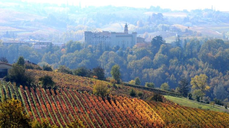 Vini piemontesi tra tradizione, innovazione e protagoniste al femminile 3 Vini piemontesi
