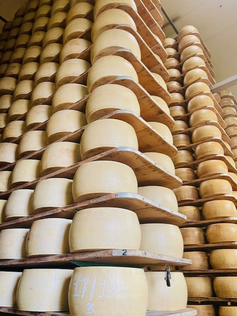 Come nasce il Parmigiano Reggiano: viaggio tra casaro, affinatore e battitore nel Caseificio Castelnovese 3 stagionatura parmigiano reggiano