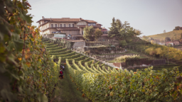 cantina parusso in piemonte