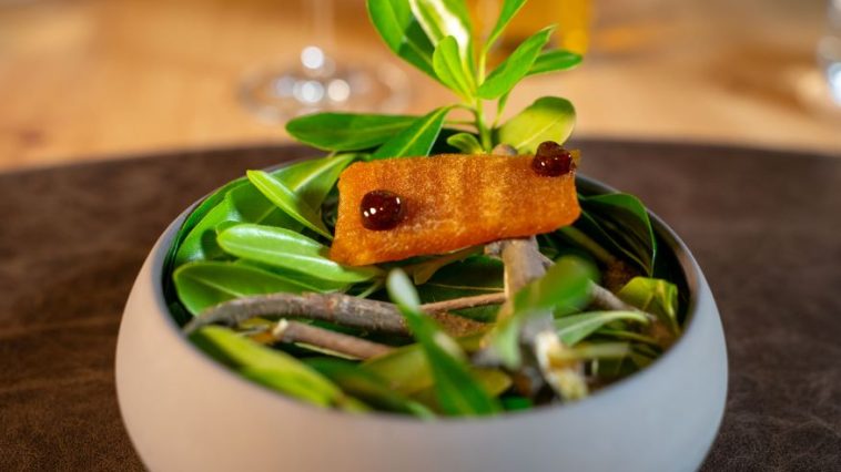 Jesolo Gourmet Festival 2026: il Veneto si racconta tra vino, cibo e cultura 3 Jesolo Gourmet Festival 2026