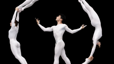 No Gravity Theatre ha portato in scena Vertical Horizons - Bodies shaping matter
