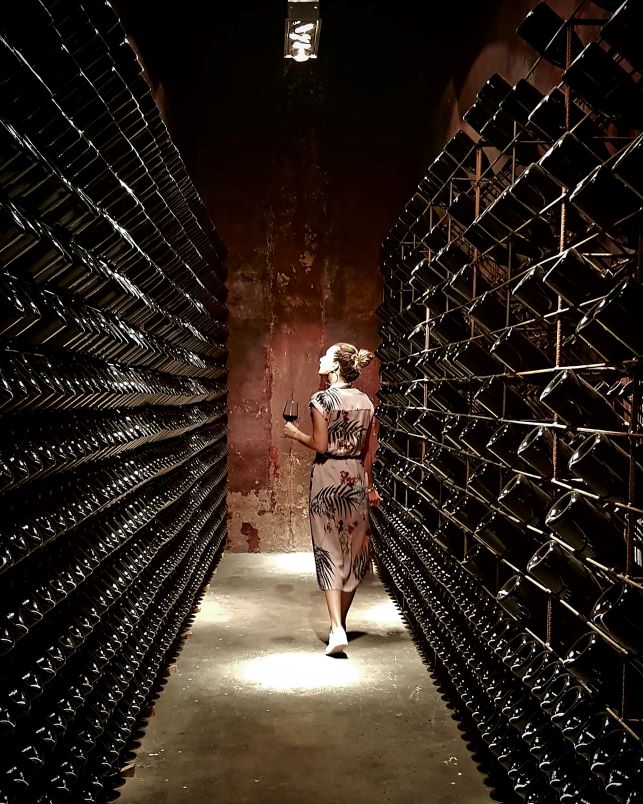 Primitivo di Manduria: viaggio tra terre, vino e memoria 1 Cantina Fellina