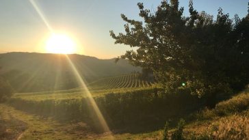 cantine felline salento