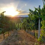 cosa vedere nel canavese