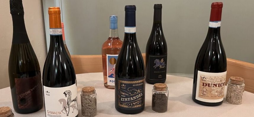 Primitivo di Manduria: viaggio tra terre, vino e memoria 3 Primitivo di Manduria