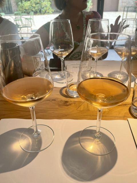 degustazione verticala di Chiaretto di Basdolino presso la cantina Le Fraghe