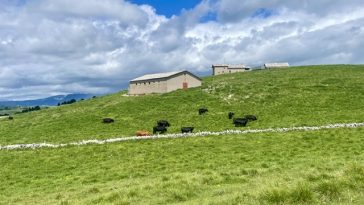 Trekking in Lessinia