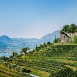 S.Pellegrino Sapori Ticino 2026