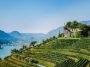 S.Pellegrino Sapori Ticino 2026