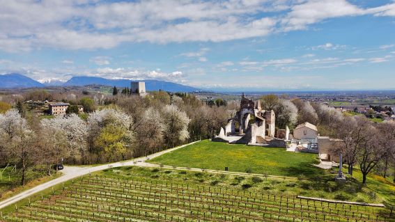 Ottobre tra le vigne: il viaggio che sa di vendemmia, memoria e tavola 2 Enoturismo Giusti Wine