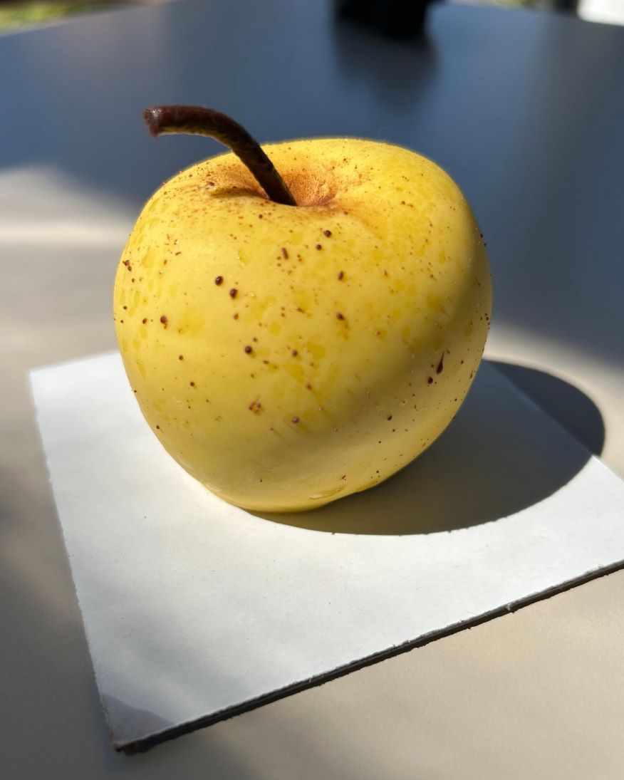 Pasticceria artigianale a Brescia: Dolce Angolo, dalla torta bresciana alla trutta realistica 2 Mela di pasticceria realistica preparata da Dolce Angolo