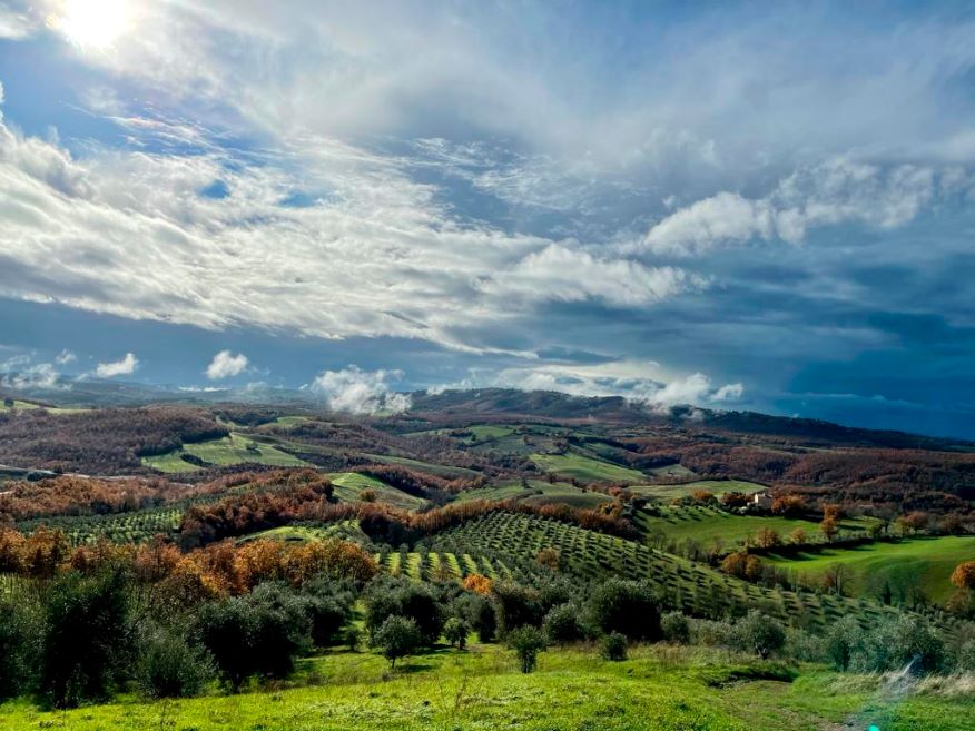 Ottobre tra le vigne: il viaggio che sa di vendemmia, memoria e tavola 8 Landscape La Maliosa