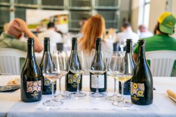 Centoventi Metodo Classico Pas Dosé: il Pinot Nero secondo Ongaresca 6 Centoventi Metodo Classico Pas Dosé: