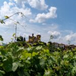 Castello di Grinzane Cavour