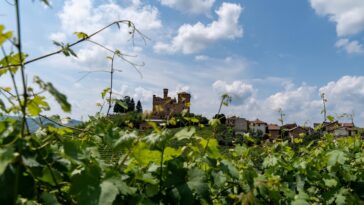 Castello di Grinzane Cavour