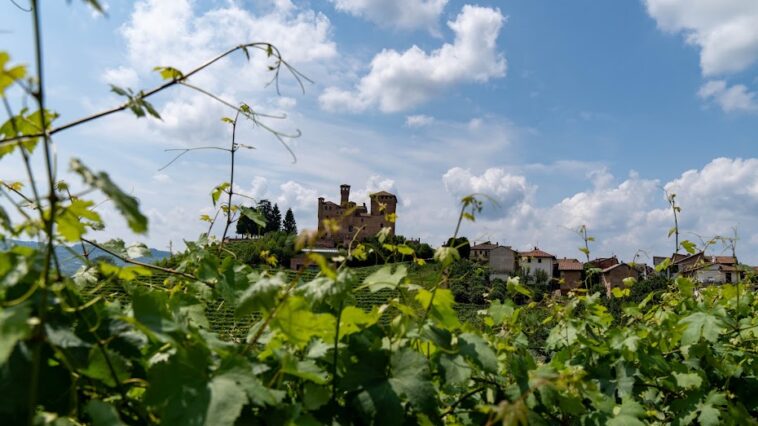Barolo en primeur 2026: vino e solidarietà. Al Castello di Grinzane Cavour tra arte, cibo e cultura 1 Castello di Grinzane Cavour