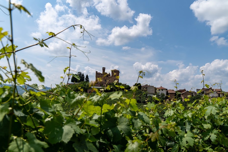 Barolo en primeur 2026: vino e solidarietà. Al Castello di Grinzane Cavour tra arte, cibo e cultura 1 Castello di Grinzane Cavour