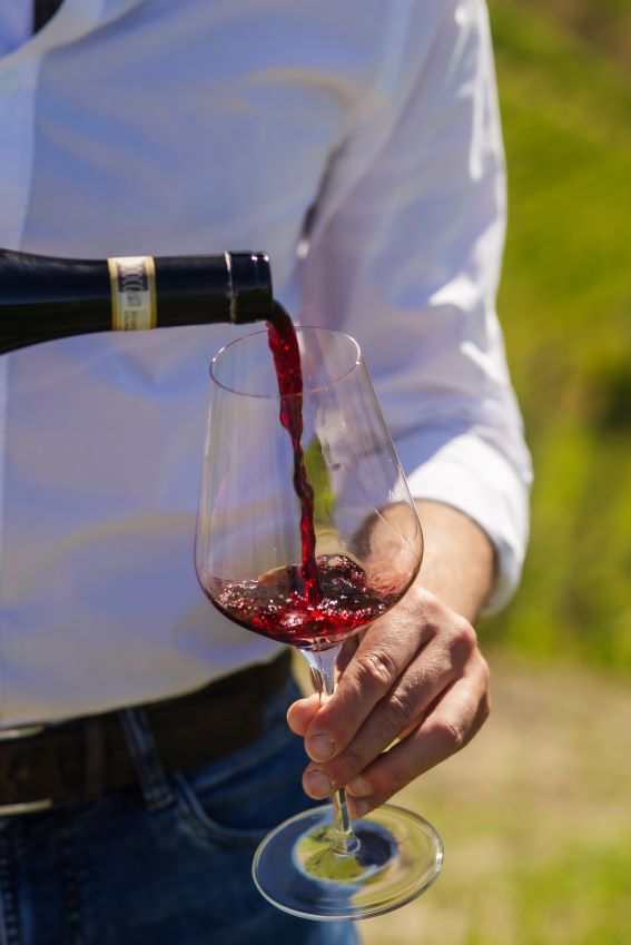 Nizza DOCG e Barbera: cosa raccontano i vini del Monferrato interpretati da Frasca La Guaragna 1 Il Nizza DOCG è una denominazione piemontese legata alla Barbera e al territorio di Nizza Monferrato.